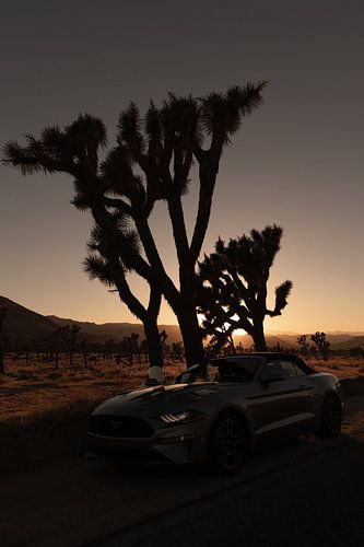 Where Two Deserts Meet