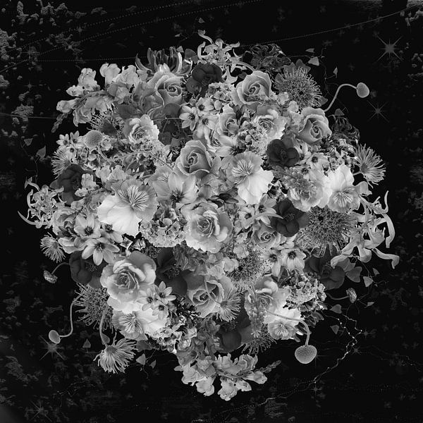 flowers in black and white by Klaartje Majoor