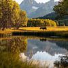 Grand Teton Summer von fernlichtsicht