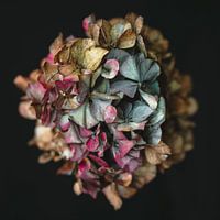 Die Macht des Übergangs