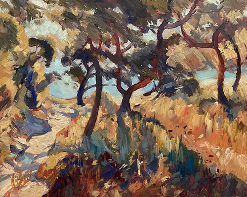 Steinpfad zum Strand von Marmari auf Paxos