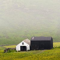 Boerenschuur in nevel / mist