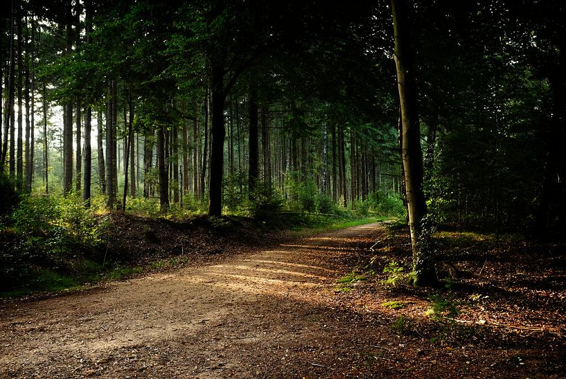 Amerongse Berg by Christiaan Krouwels