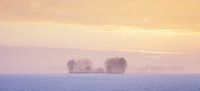 Winterlandschap Zeeland van Frank Peters thumbnail