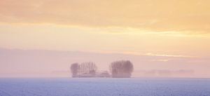 Winterlandschap Zeeland van Frank Peters