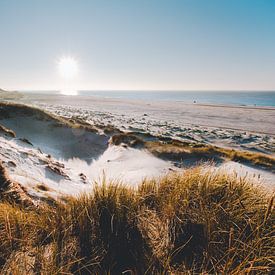 Stuifduinen van Sint Maartenszee Noord Holland sur Frank Mosch