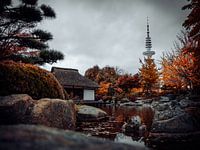 Teahouse Planten un Blomen