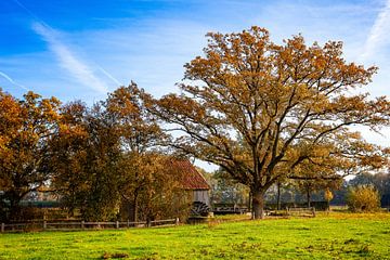 Oelermolen sur Freddy Hoevers