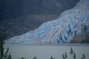 De Mendenhall gletsjer glijdt de zee in van Frank's Awesome Travels