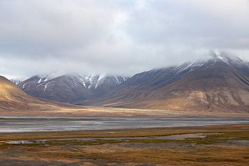 Landschap in Spitsbergen van Michèle Huge