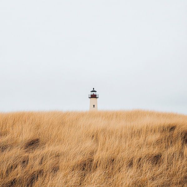 Leuchtturm im Gras von Poster Art Shop