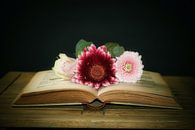 Blumenbuch von WeVaFotografie Miniaturansicht