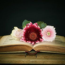 Flower book by WeVaFotografie