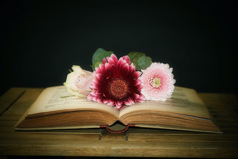 Livre de fleurs par WeVaFotografie