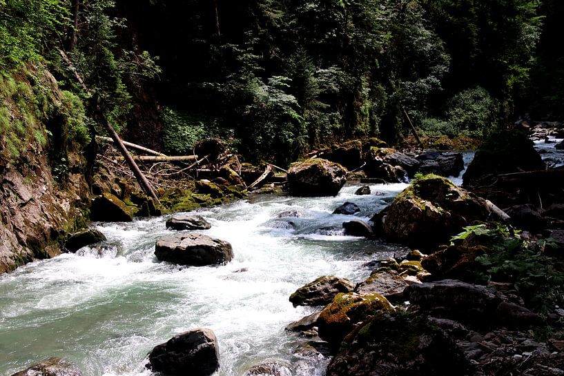 Début de la randonnée dans les gorges de la Breitach. par Paul Emons