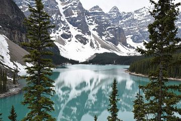 Lake Louise in Canada van Dick Mandemaker