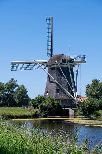 Molen in Amsterdam-Osdorp