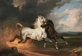 Paarden in een storm – Vintage paardensportkunstprint van Timeless Artworks