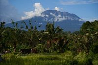 Agung volcano with palm trees