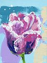 Tulipa Parrot, FreeStyle van ART Eva Maria thumbnail