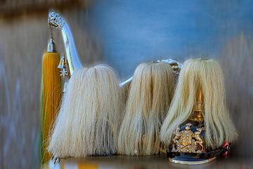 HEAD COVER by Photoart-Naegele