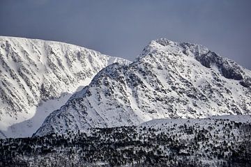Berglagen in de winter, Noorwegen van qtx