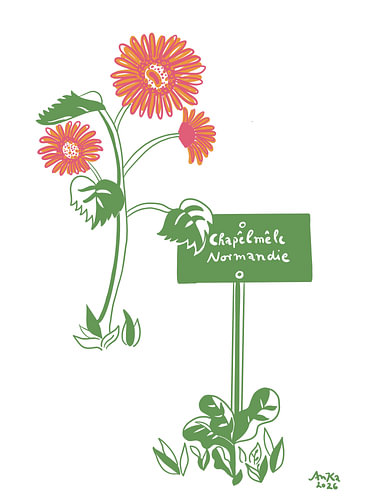 Sonnenblumen in der Normandie-Line Art von Anna Kautenburger