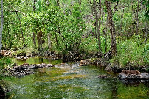 Florence Creek