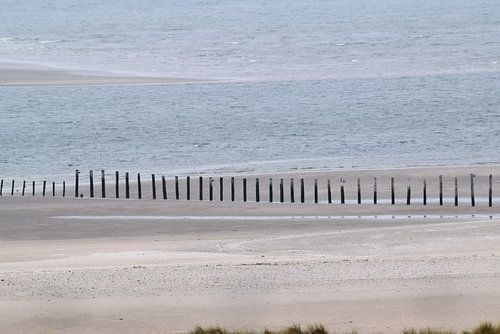 Palen in het Quacker water en strand