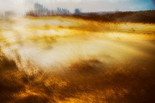 A small pool, ideal for abstract work - 6