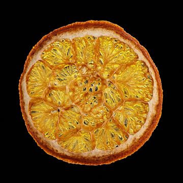 Dried slice of orange by Mister Moret