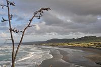 Black Sand beach