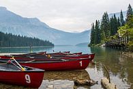 Lac Emeraude, Canada par Claudia Esveldt Aperçu