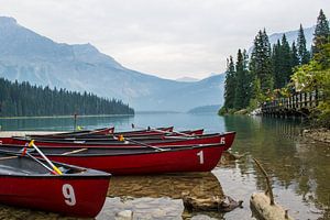 Emerald Lake, Canada van Claudia Esveldt