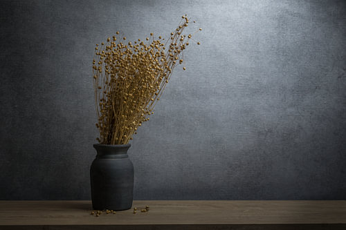 Stilleven met gedroogd alsi gras in een aardenvaas