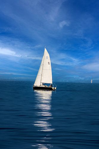 Lake Constance : The sailing boat