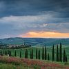 Avenue des cyprès en Toscane sur Menno Schaefer