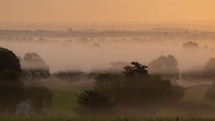 Cotswolds morning mist by Robert Ruidl