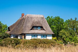 Building, trees and blue sky in Wieck, Germany van Rico Ködder