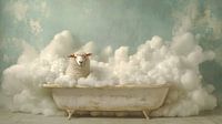 Wool wash cycle