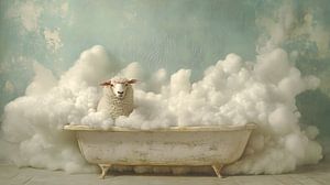 Wool wash cycle