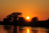 Okavango river bij zonsondergang van Felix Sedney thumbnail