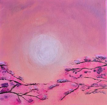 Serene Cherry Blossoms at Sunset