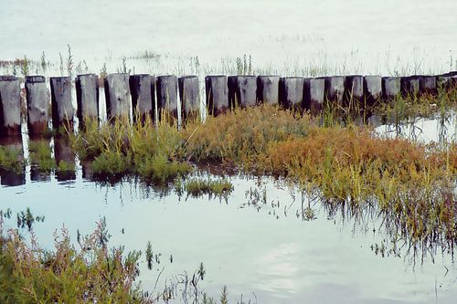 On the Wadden Sea no5