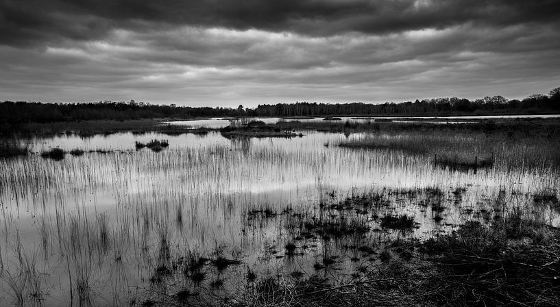 Regenwolken boven het Winkelsven by Douwe Bergsma