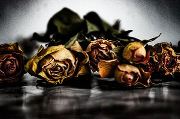 Gedroogde rozen donker van Niek Traas