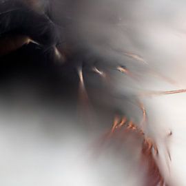 Contradictions Two by Jurjen Biesbroek