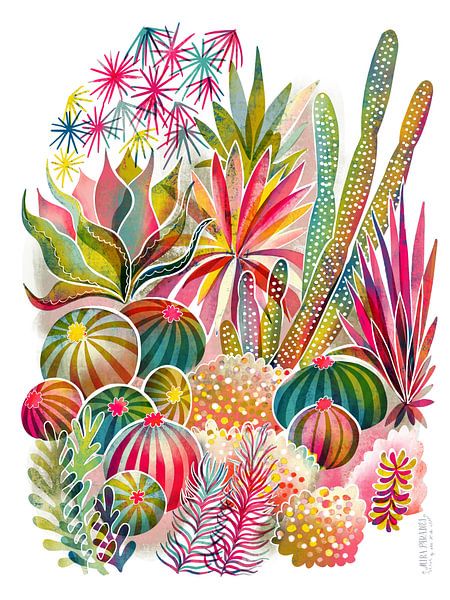 Jardin de succulentes et de cactus fleuris par uta krogmann