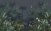 Exotic animals in the jungle