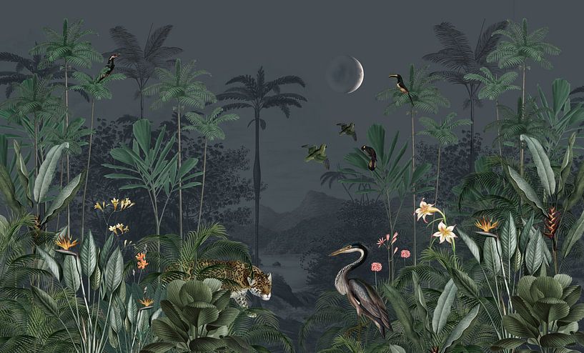 Exotic animals in the jungle by Mrdododesign